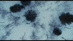 Overhead shot of snowy forest.